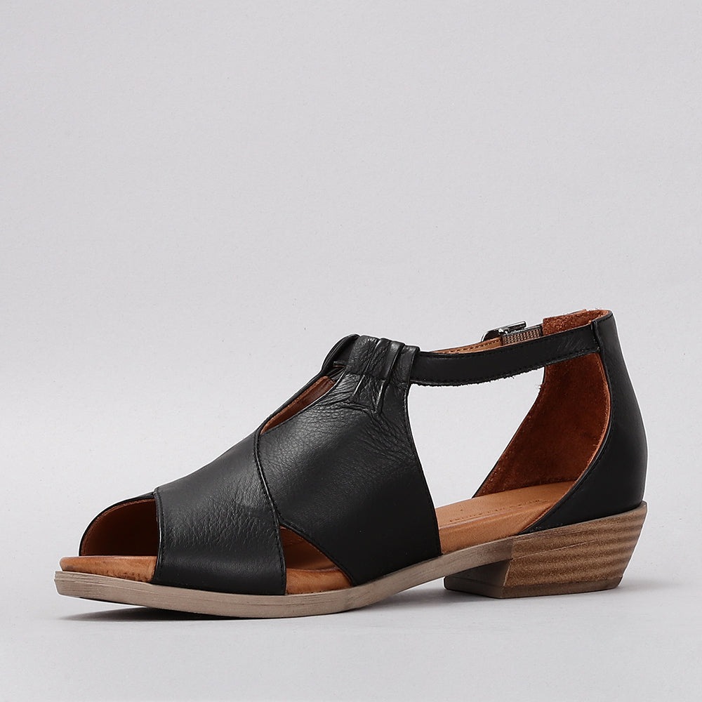Digby - Black/Black - LE SANSA