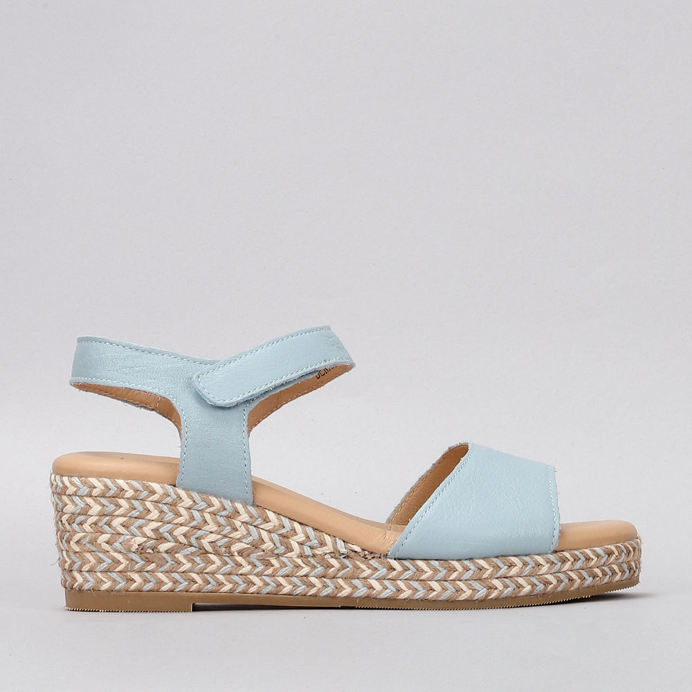 Denali - Baby Blue - LE SANSA