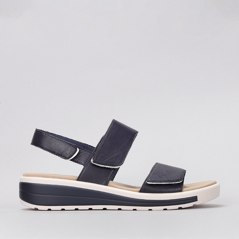 Hanza - Navy - Naked Arches