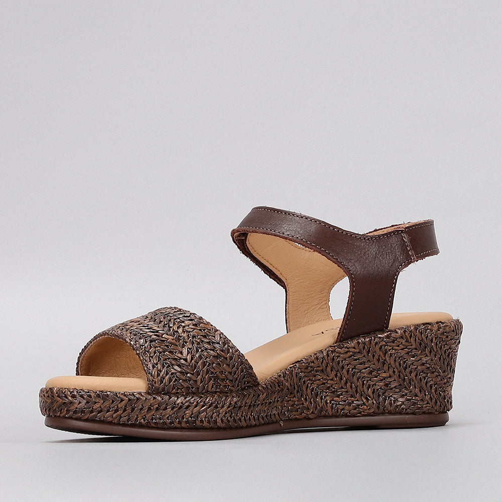 Pilia - Chocolate - LE SANSA