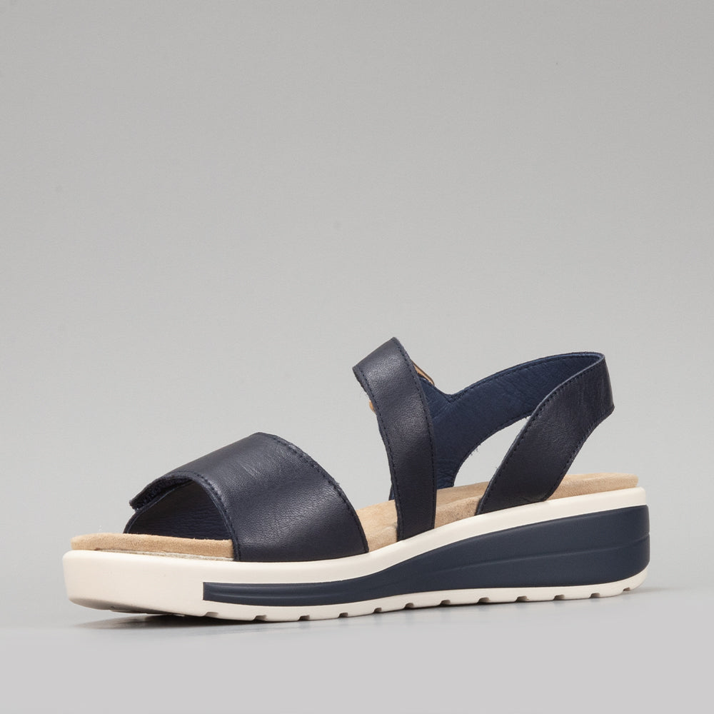 Hawai - Navy - NAKED ARCHES