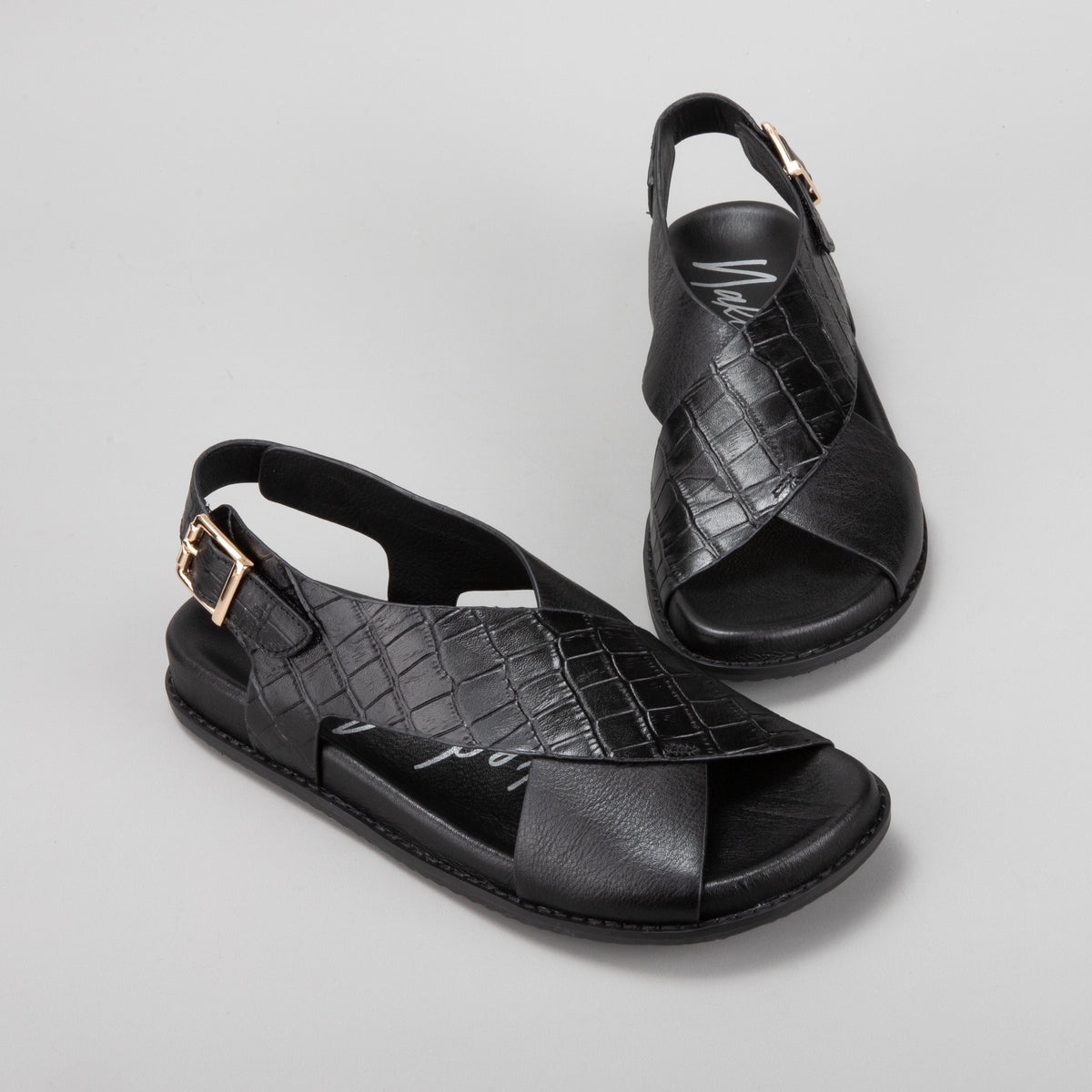 Zigilia - Black Croc