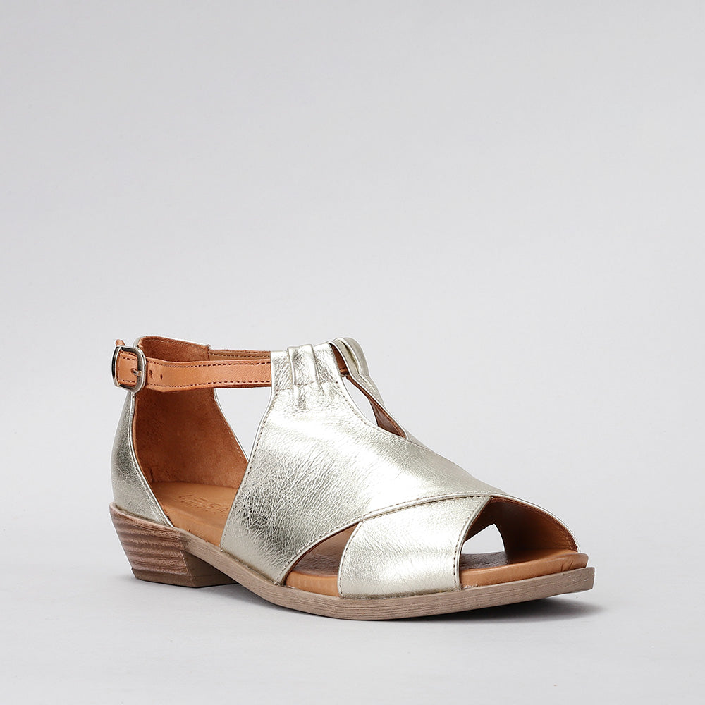Digby - Gold Tan - LE SANSA