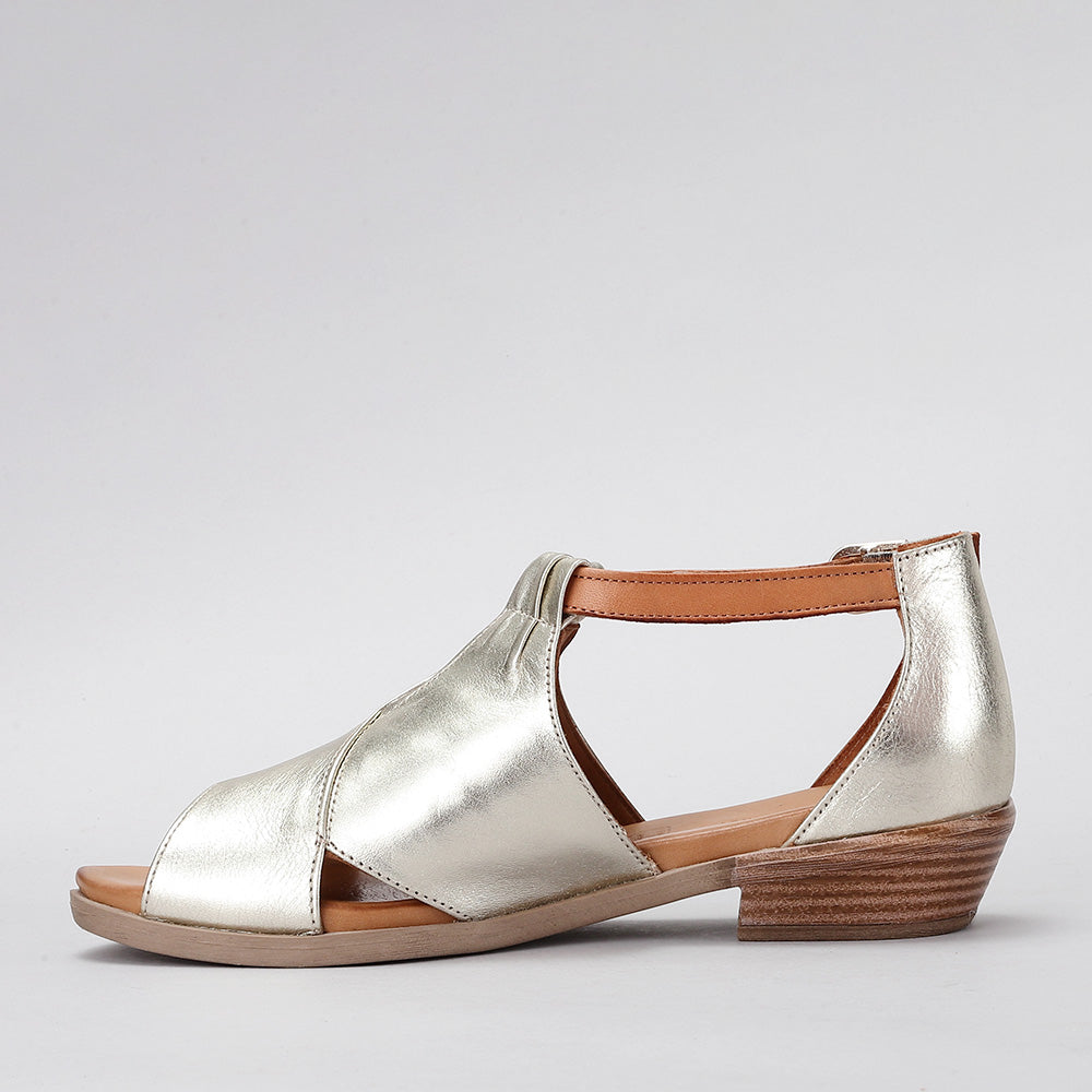 Digby - Gold Tan - LE SANSA
