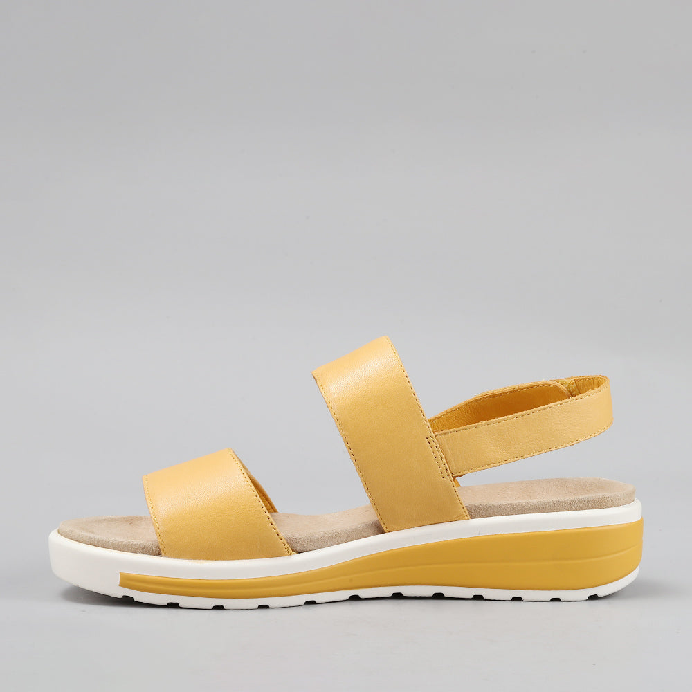 Hanza - Mustard - Naked Arches