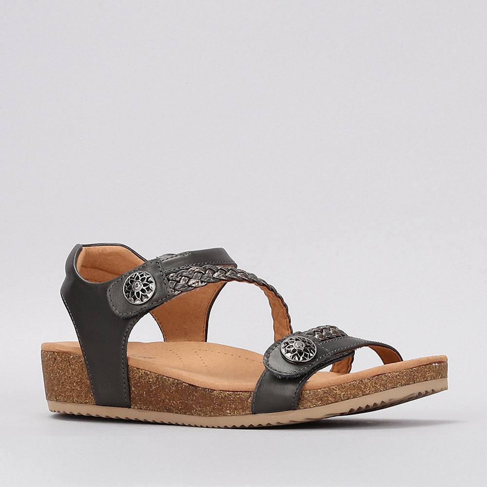 Sequoila - Pewter - Naked Arches