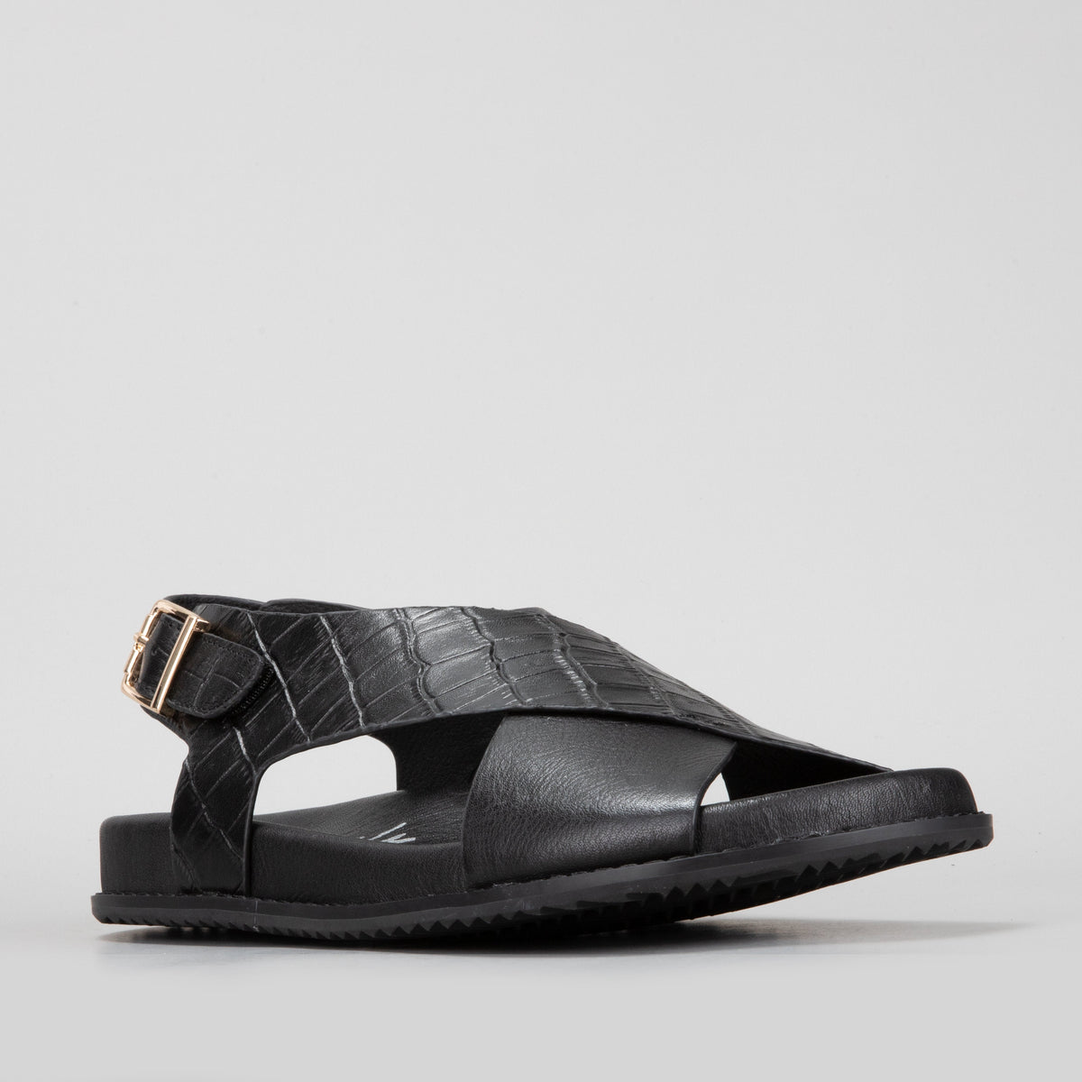 Zigilia - Black Croc