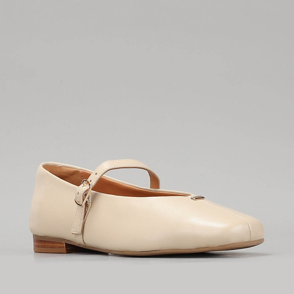 Olly - Ivory