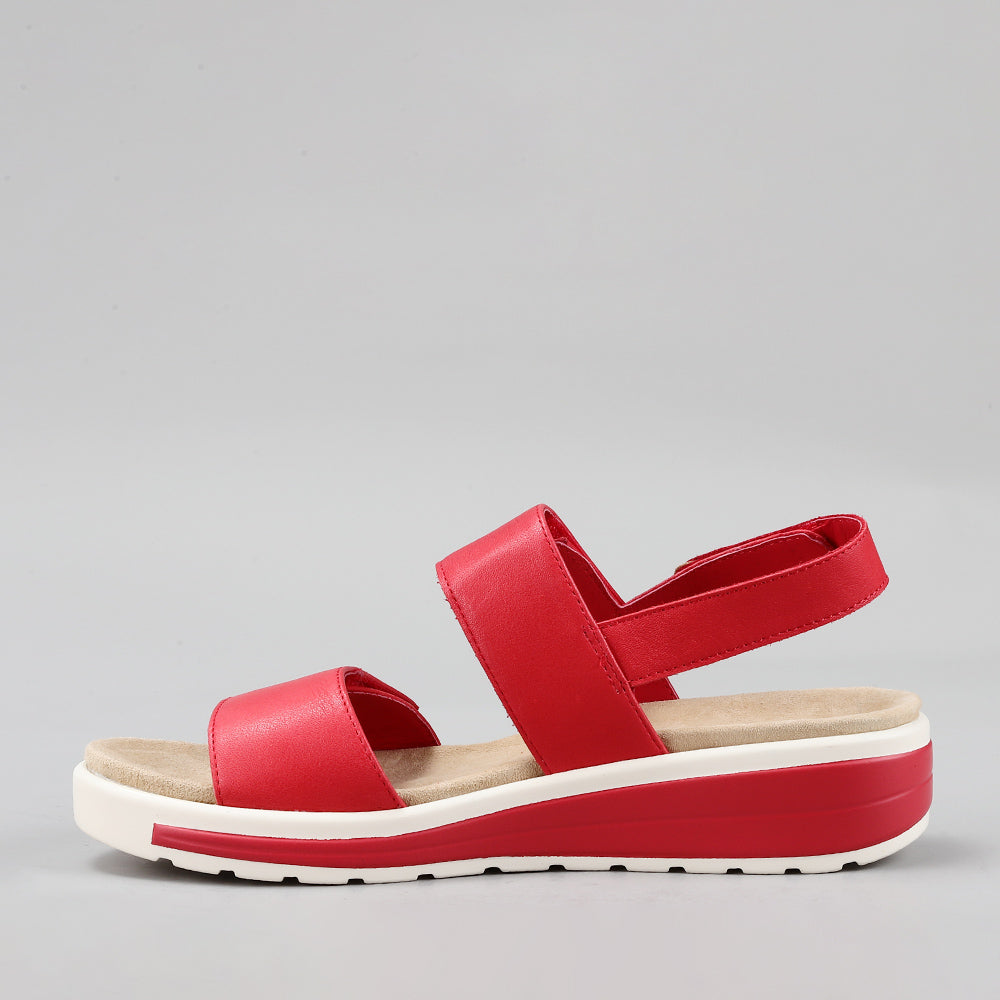 Hanza - Dk Red - Naked Arches