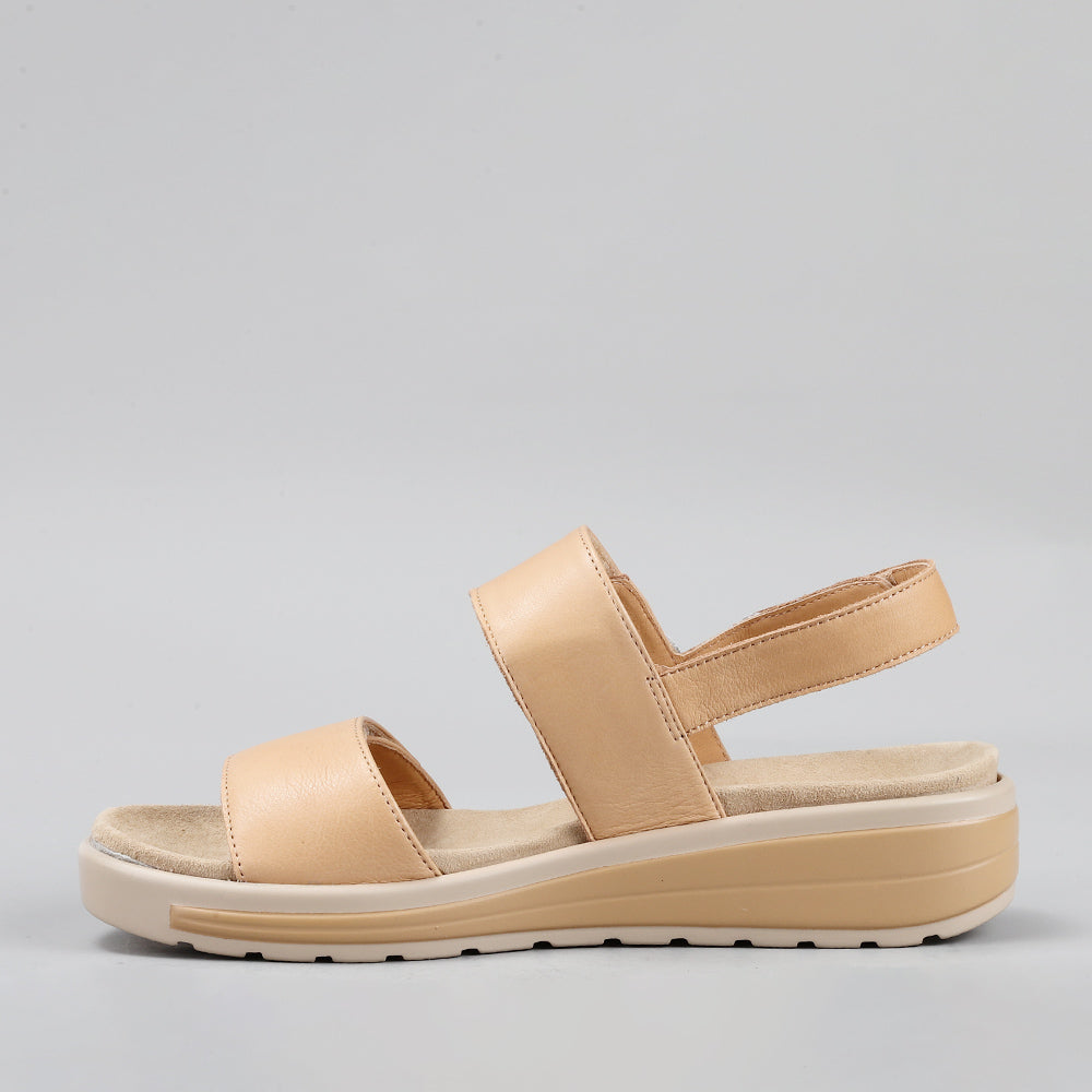 Hanza - Scissors/Soft Gold - Naked Arches